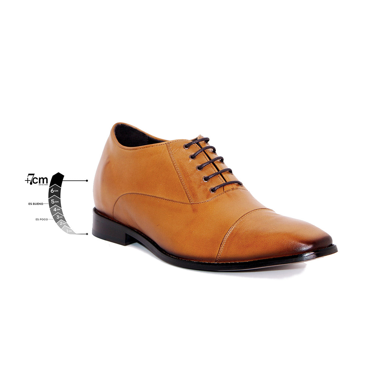 Max Denegri Mëxico - Zapatos de vestir para hombre Oxford Café Claro 7cms de altura Director